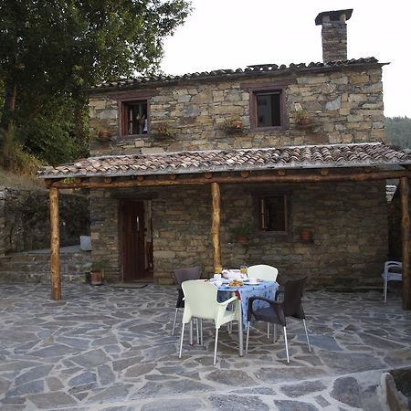 Casa Princesa Peralta Lousã Zewnętrze zdjęcie